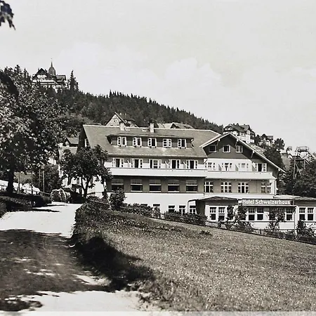 Schweizerhaus Apartment