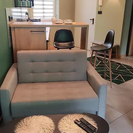 Gory 公寓 卡尔帕奇